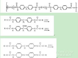 金属漂白活化剂对氨纶弹性织物白度的影响及机理分析