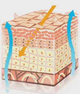 全新升级6 | 洗脸不对，保养报废 洗面奶中的佼佼者，与金属清洗剂的跨界启示
